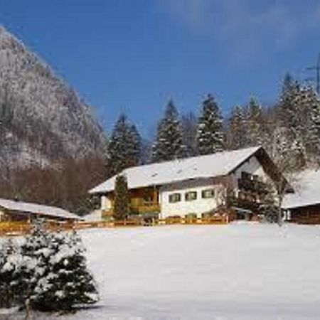Haus Holzner-Nagl Daire Schneizlreuth Dış mekan fotoğraf